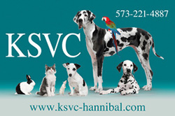KSVC Hannibal
