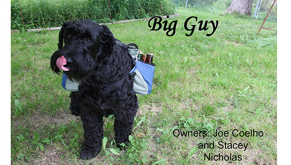 Big Guy