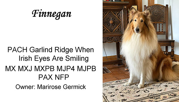 Finnegan