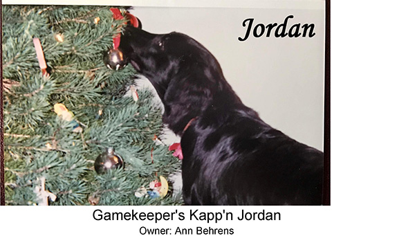 Jordan<br />