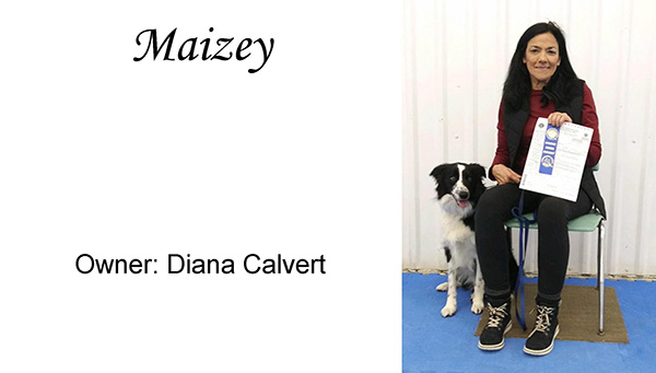Maizey