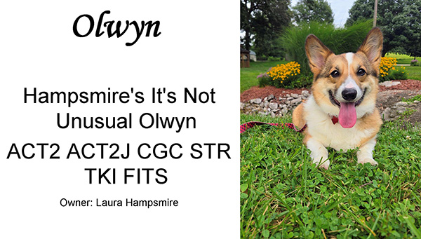 Olwyn