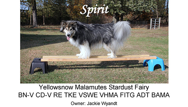 Spirit