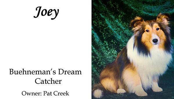 Joey