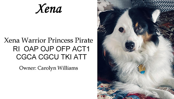 Xena