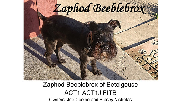 Zaphod Beeblebrox