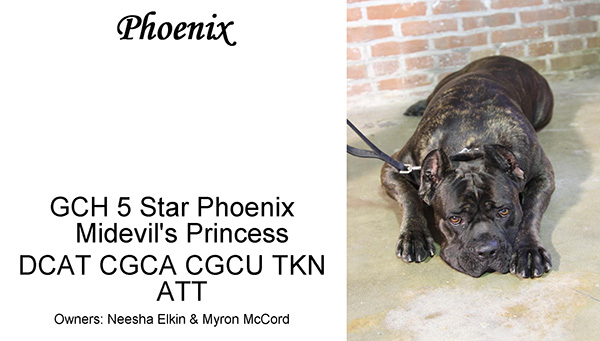 Phoenix
