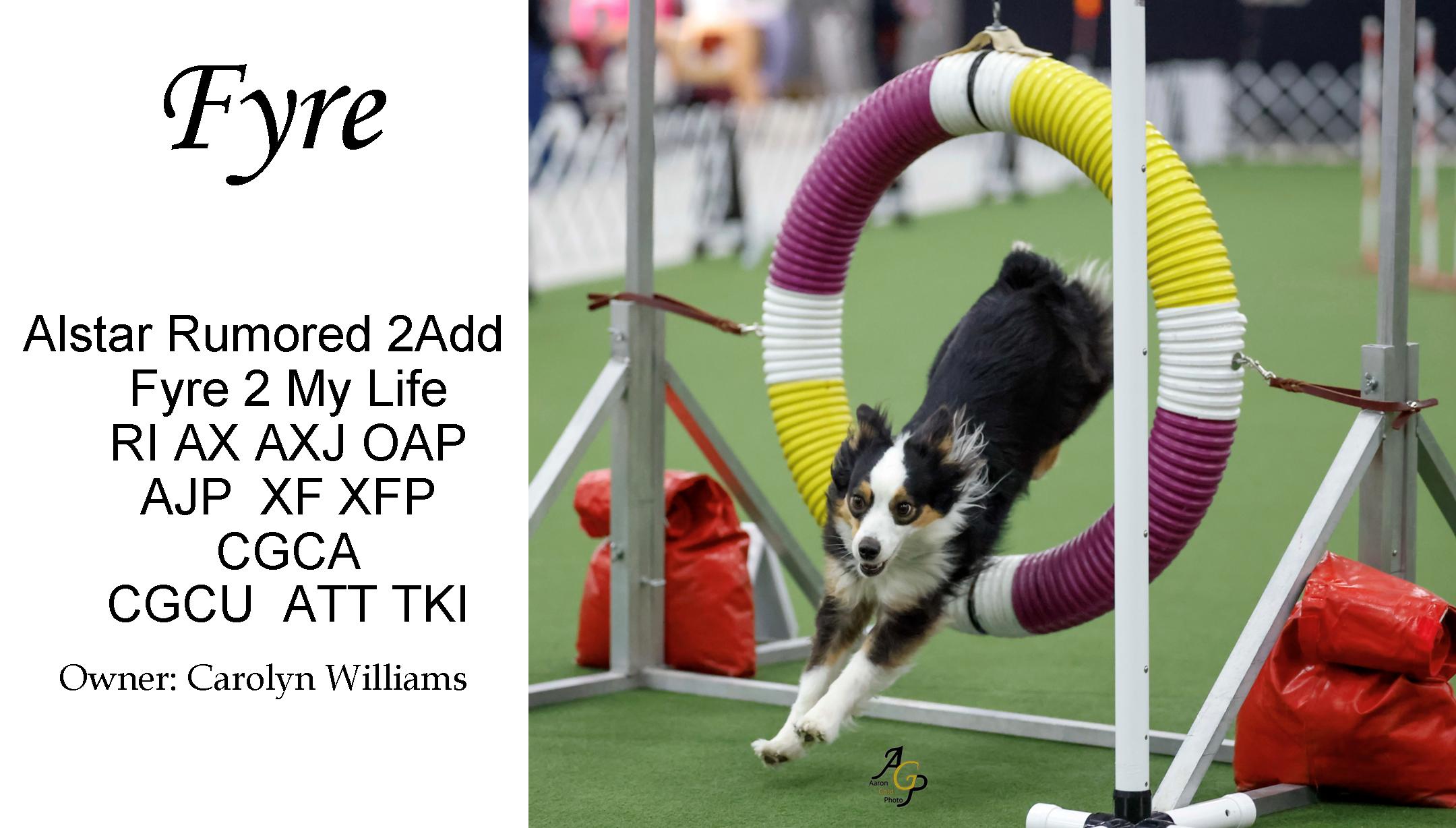 Fyre Agility Aug 2026