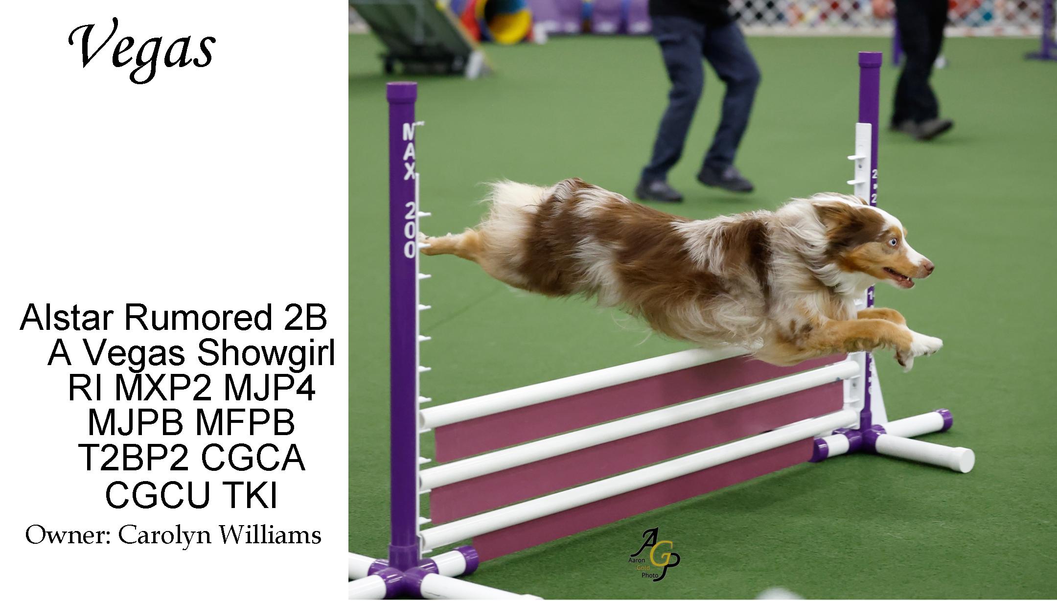 Vegas Agility Aug 2026